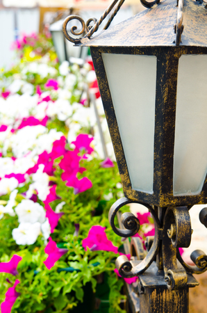 lantern in a garden closeupの写真素材