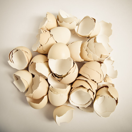 egg shellsの写真素材