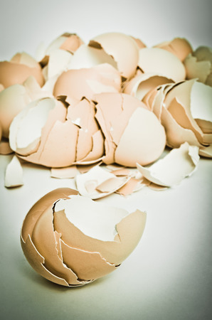 background made of egg shell