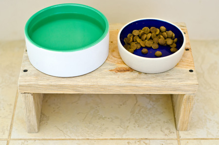 dog food bowl on the floorの写真素材