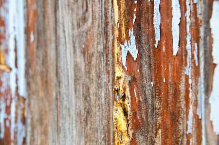 a wooden background of wall macro closeup