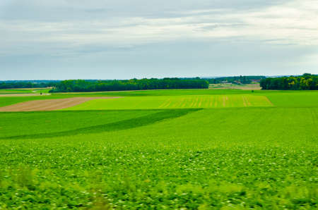 green field and sky with cloudsの写真素材