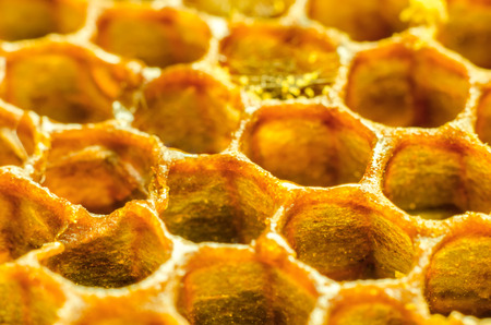 honeycomb macro as a background