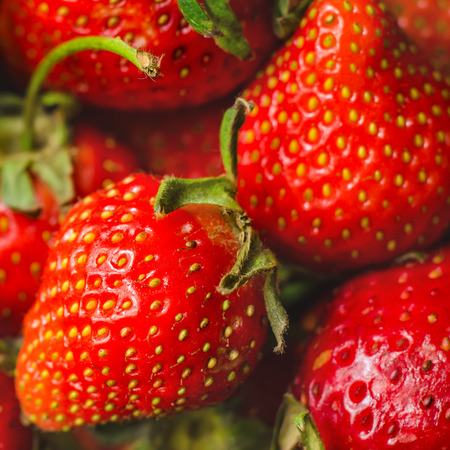 strawberry macro as a background
