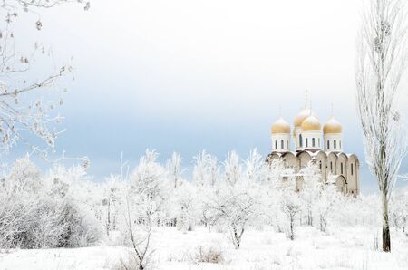 church in winter with trees and snowの写真素材