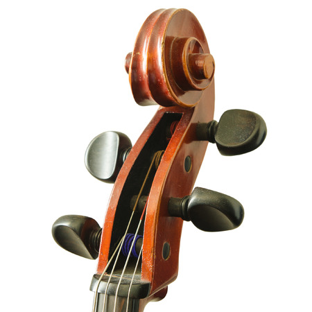 cello fingerboard isolated on a white background