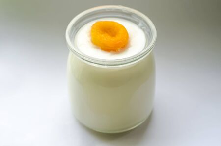 homemade yogurt with dried apricot