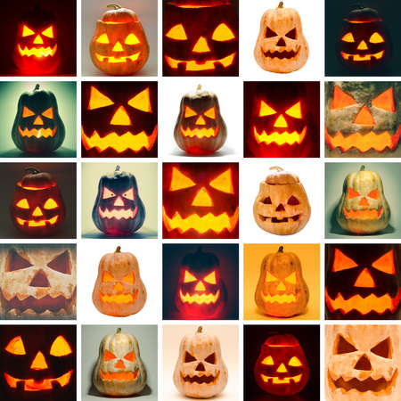 halloween pumpkin collection on a white backgroundの写真素材