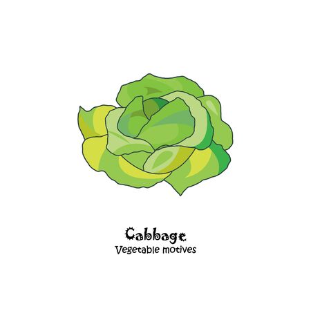 Color vector illustration. Cabbage iconのイラスト素材