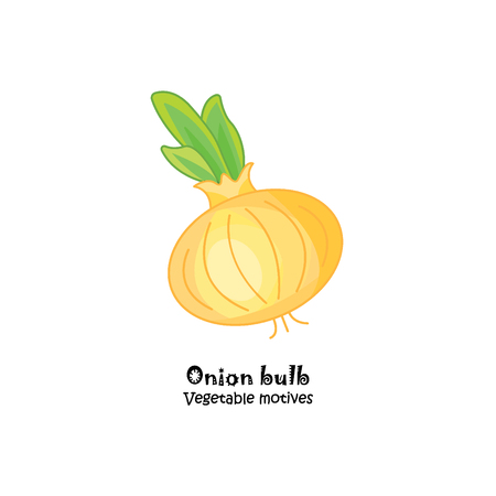 Color vector illustration. Onion bulbのイラスト素材
