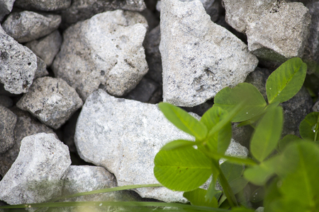 A pile of stones against the background of grass. Crushed stone and grass in dewの写真素材