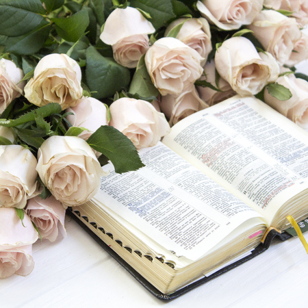 Roses and the Bible