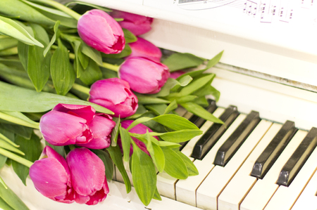 Pink tulips and notes. Pink tulips on white pianoの写真素材