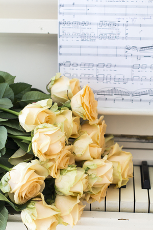 Peach roses on the piano with notesの写真素材