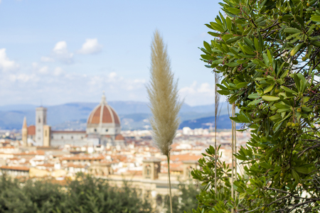 Panoramic view of Florence from Piazzale Michelangeloの写真素材
