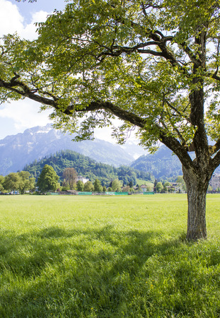 Park Hohematte. View of the Alps. Interlakenのeditorial素材