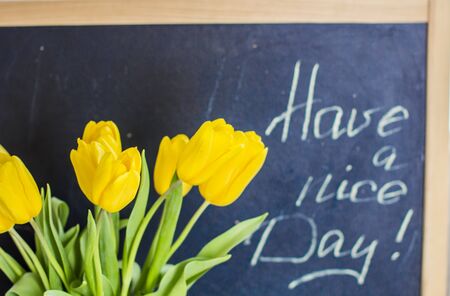 yellow tulips and chalk inscription on blackboard "Have a nice Day!"の写真素材