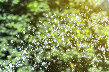 Flying water drops on green background. Shallow focus. Freshness concept.