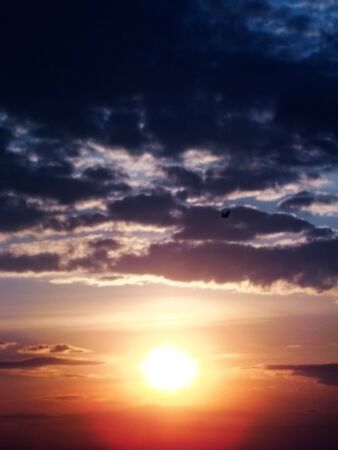 The spring sun is shining brightly in the twilightの写真素材