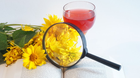 Still Life of yellow flowers, books and A red wine isolated on white backgroundの写真素材