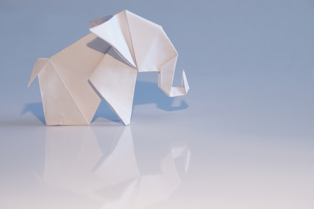 Origami elephant out of paper isolated on white backgroundの写真素材