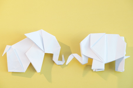 Origami elephant out of paper isolated on a colored backgroundの写真素材