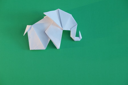 Origami elephant out of paper isolated on a colored backgroundの写真素材