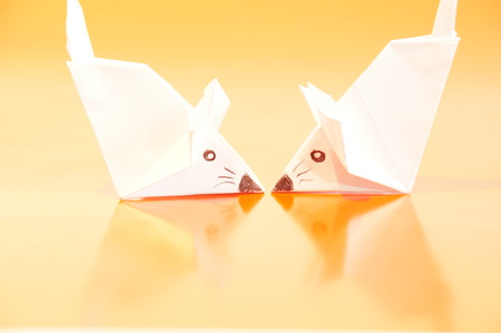 Paper origami mouse isolated on the colorful backgroundの写真素材