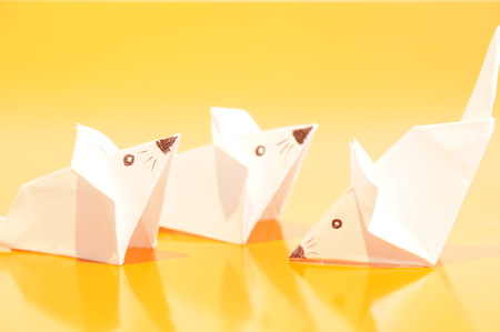Paper origami mouse isolated on the colorful backgroundの写真素材