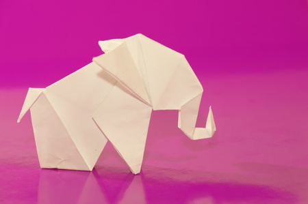 Paper origami elephant isolated on backgroundの写真素材