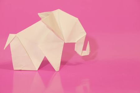 Paper origami elephant isolated on a colorful backgroundの写真素材