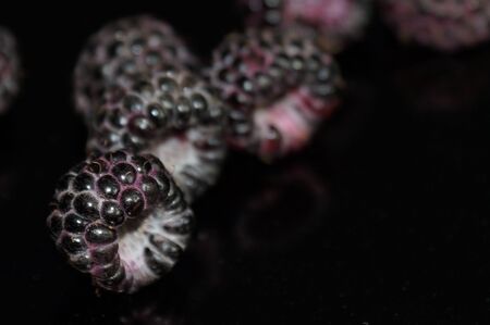 Black raspberry isolated on a black background.の写真素材