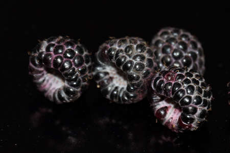 Black raspberry isolated on a black background.の写真素材