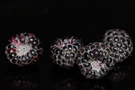 Black raspberry isolated on a black background.の写真素材