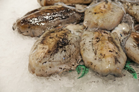 The Boqueria market in Barcelona. Fished Cuttlefish. Fresh cuttlefish on the cold ice. Fresh seafood...