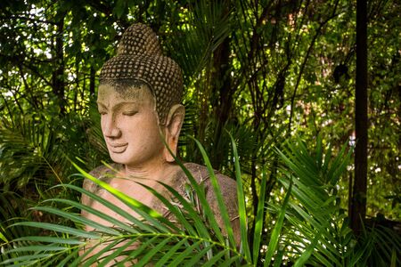 The stone Buddha statue in forest backgroundの写真素材