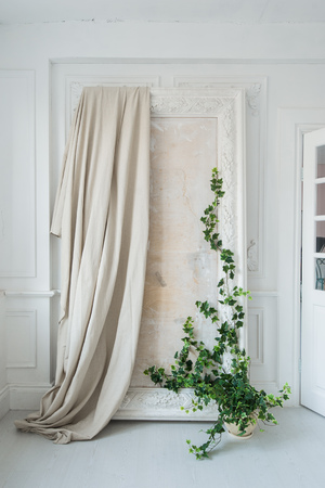 White art stucco gypsum frame for mirror with a grean loach branch on itの写真素材