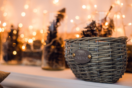 Branches of spruce with cones in the basket under fir tree. Christmas and New Year decoration card