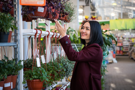 Woman Buying Flowers in a Sunlit Garden Shop. Young woman shopping for decorative plants on a sunny...