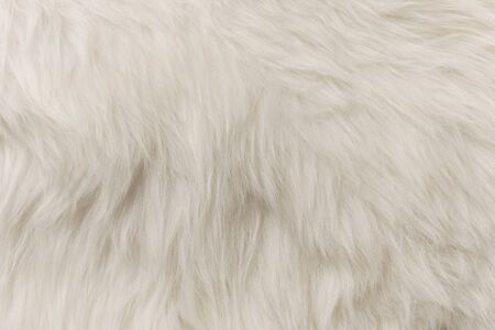 White artificial fur texture for background close-up