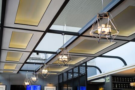 Modern black wire frame ceiling lamp interior lighting bulbs vintage style decoration contemporary.