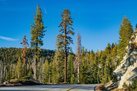 Empty road running through Sierra Nevada mountain scenery with on sunny day with clear blue sky in...