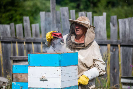 Eco apiculture and honey production business. Beekeeper fumigating bees with smoke to remove honeycombs from the apiary houses. Beepeeking process.の写真素材