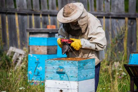 Eco apiculture and honey production business. Beekeeper fumigating bees with smoke to remove honeycombs from the apiary houses. Beepeeking process.の写真素材