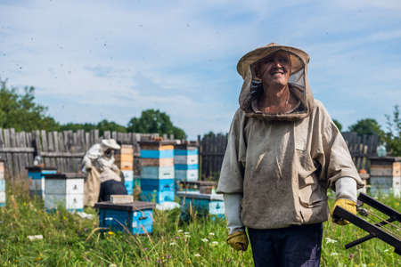 Beekeepers moving hand trolley with bee hives from apiary to extraction room. Preparing for honey extraction.の写真素材