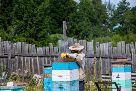 Man in a protective suit beekeeper uses device for smoke fumigation to calm bees in hives and check honey harvest in honeycombの写真素材