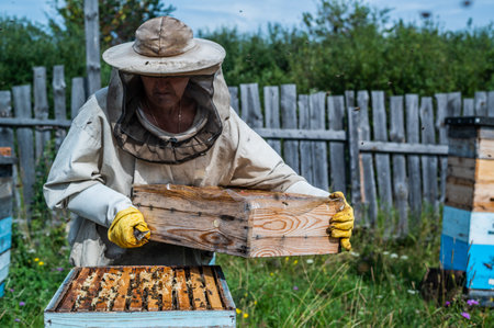 Beekeeper in protection suit inspecting his row of beehives at apiary with bees swarming around himの写真素材