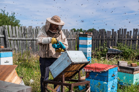 Beekeeper is working with bees and beehives on the apiary.の写真素材