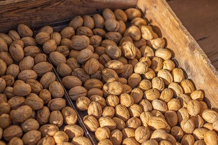 Walnuts in their shellsの写真素材