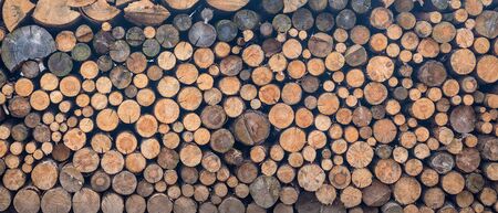 stacked firewood - texture background of wood logsの写真素材